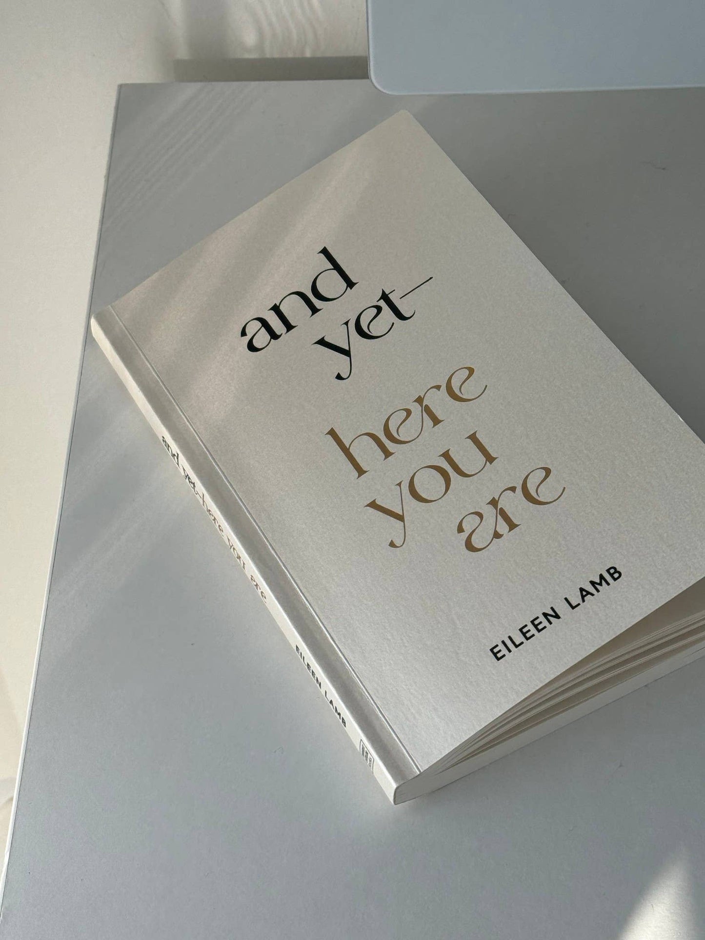And Yet, Here You Are - Book