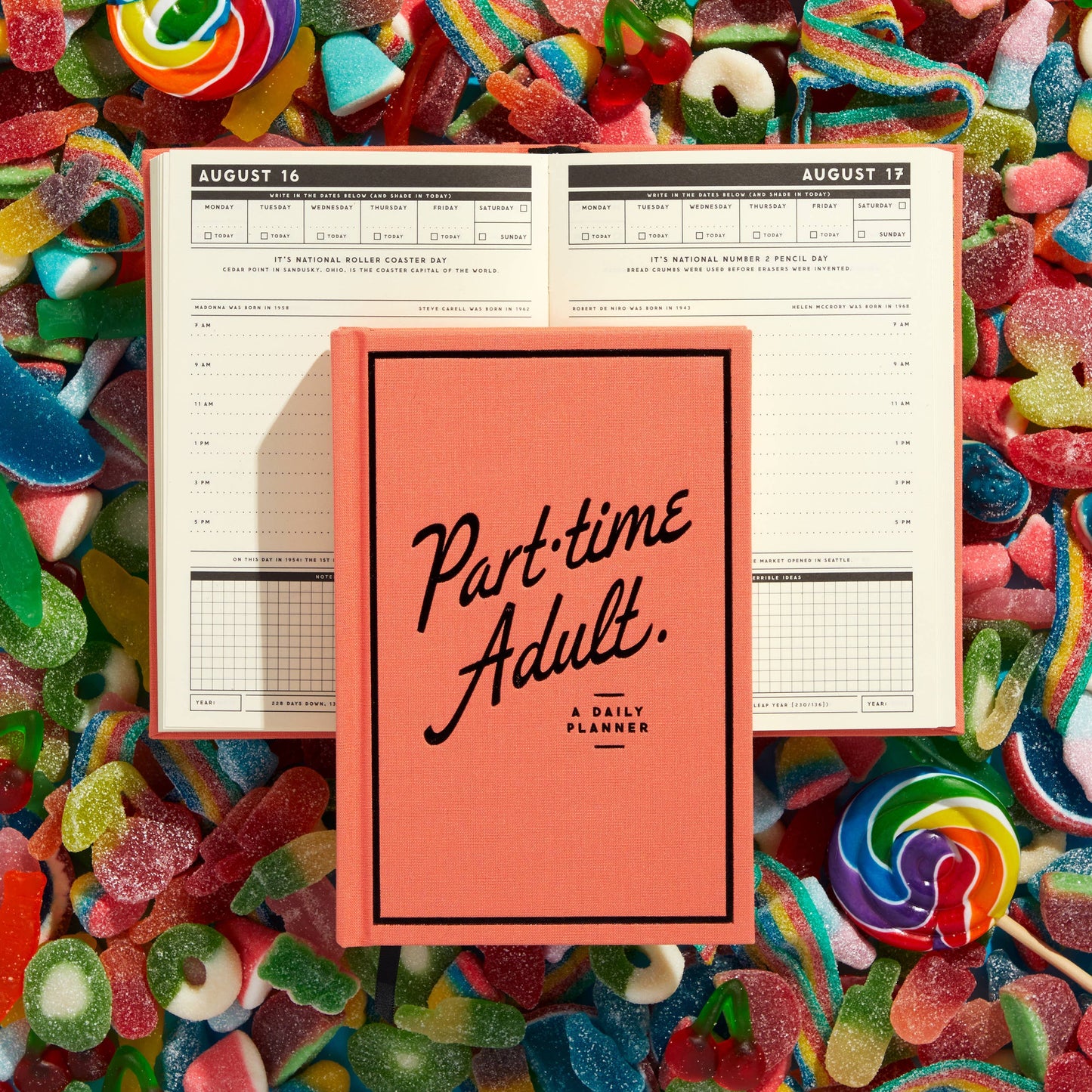 Part-Time Adult - Undated Daily Planner